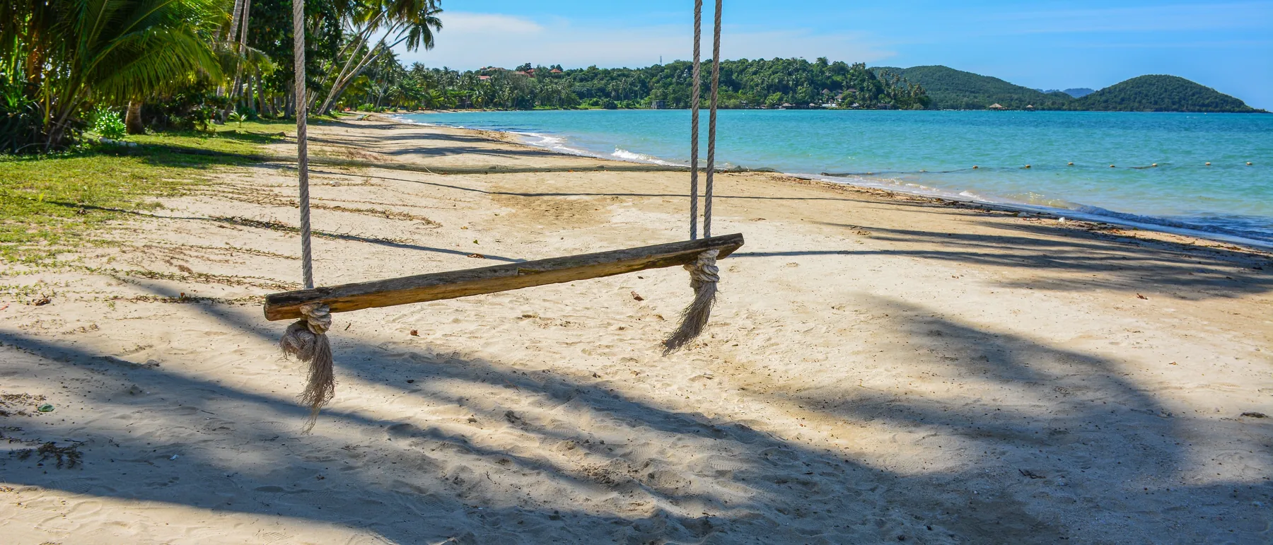 Balançoire en bois suspendue à un cocotier, au bord d'une plage déserte