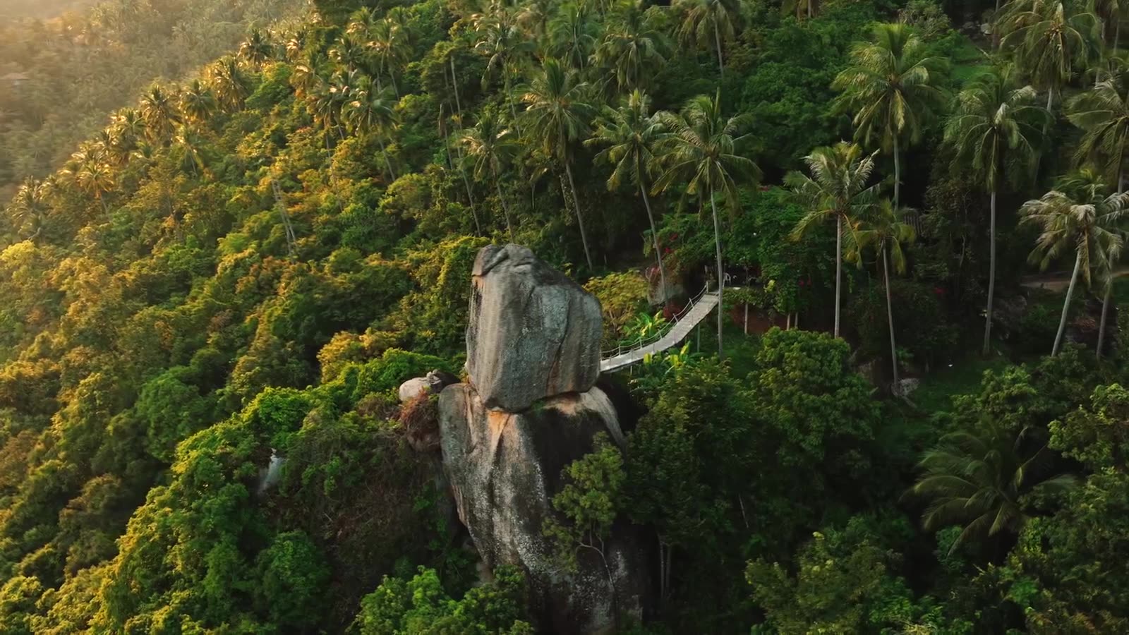 Vue aérienne de la jungle de Koh Samui